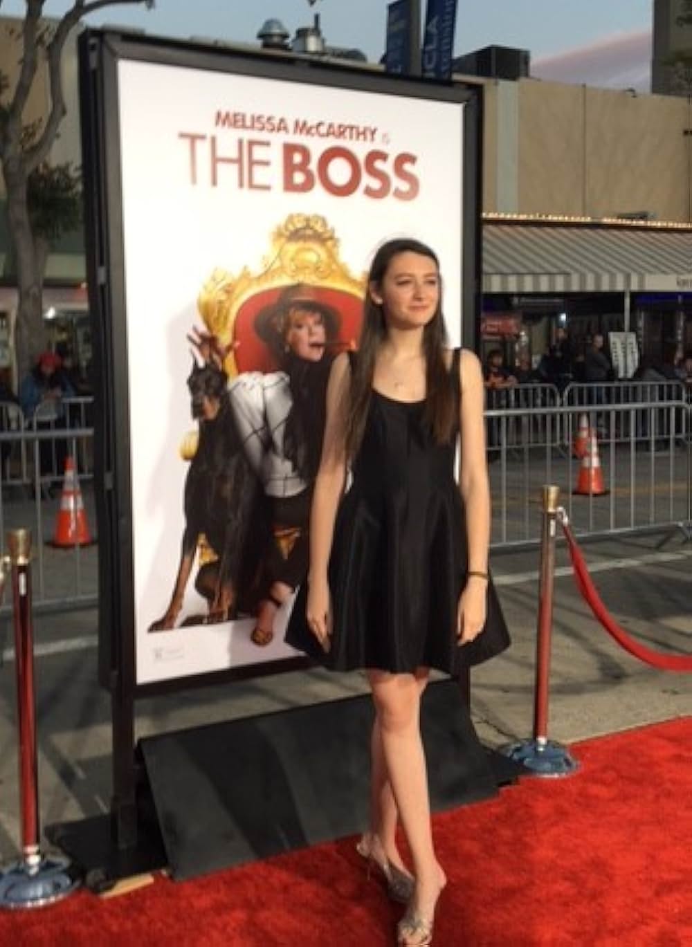 メリッサ・マッカーシーinザ・ボス 世界で一番お金が好き！の画像