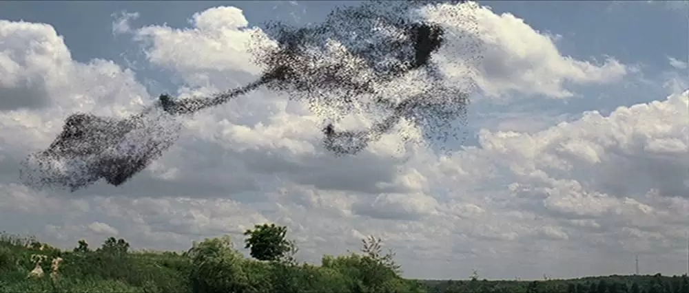 テイク・シェルターの画像