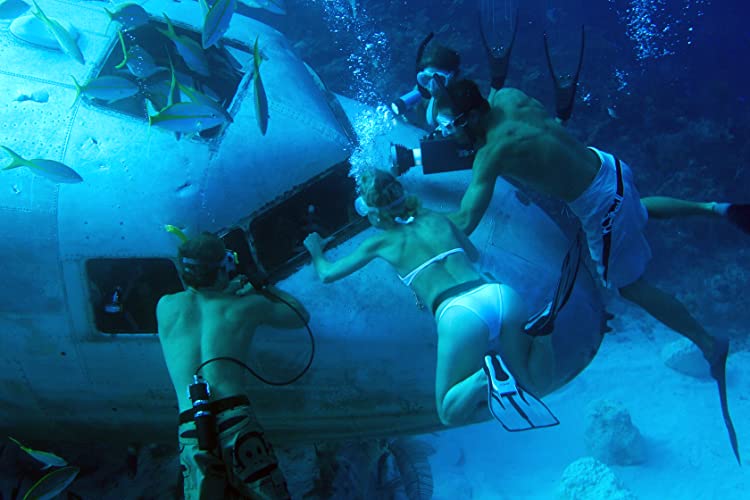 イントゥ・ザ・ブルーの画像