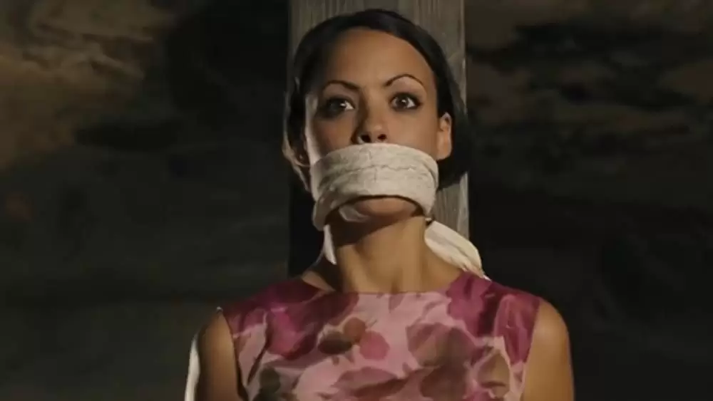 OSS 117 私を愛したカフェオーレの画像