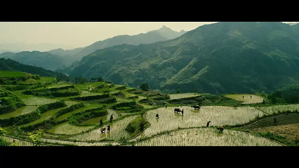 ドラゴン・キングダムの画像