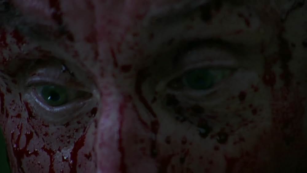 チャイルド・プレイ／チャッキーの花嫁の画像