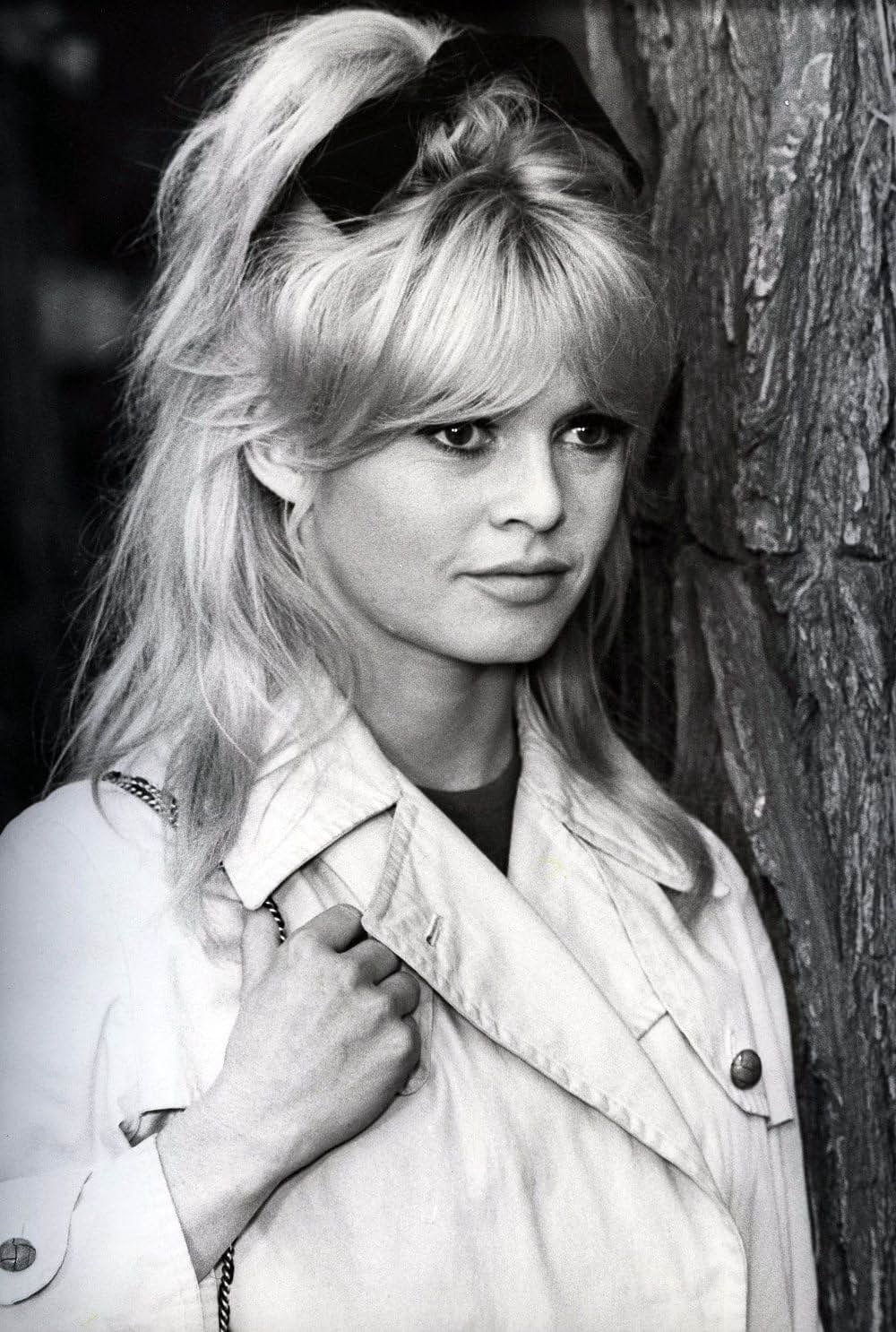 Une ravissante idiote（原題）の画像