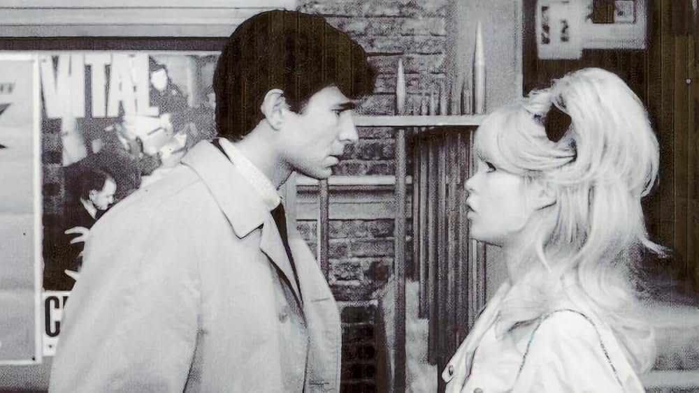 Une ravissante idiote（原題）の画像