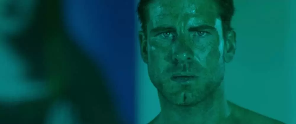 REVENGE リベンジの画像