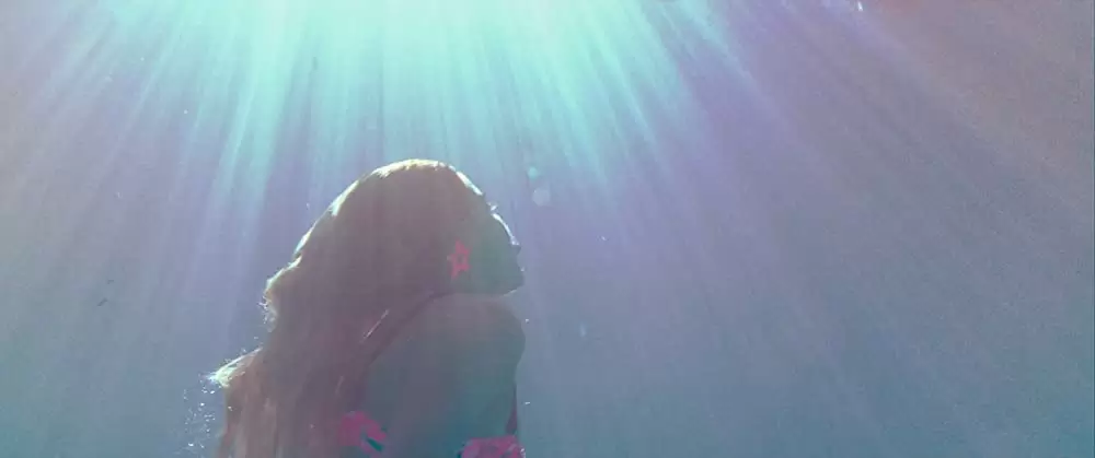 REVENGE リベンジの画像