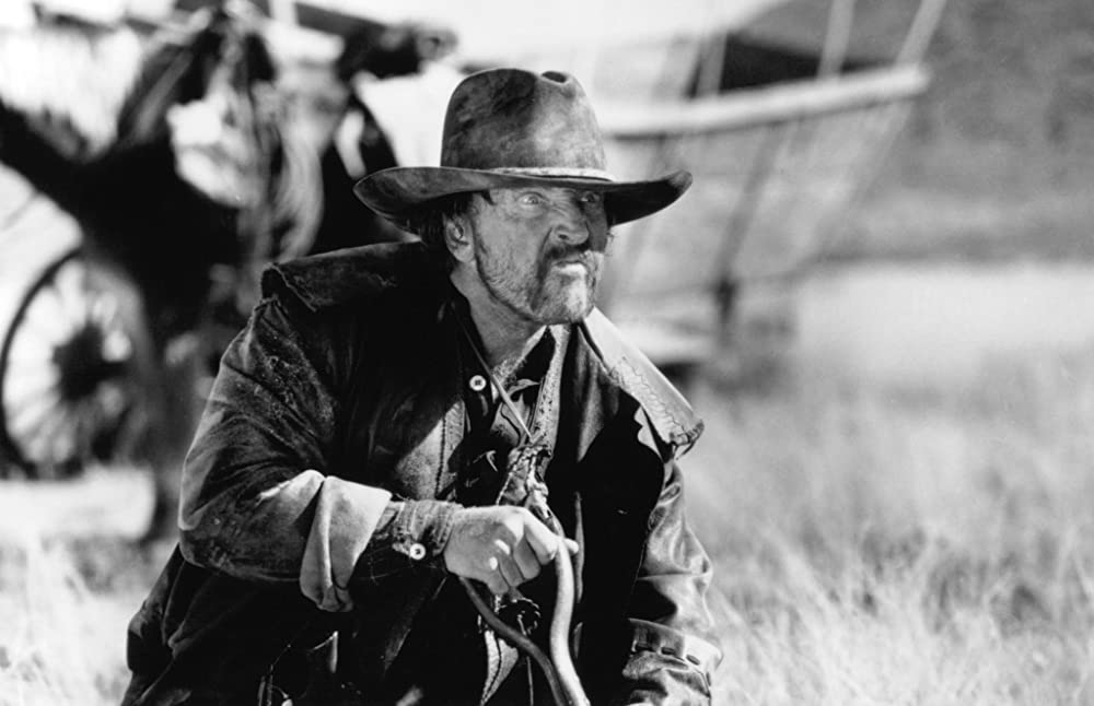 クイック&デッドの画像