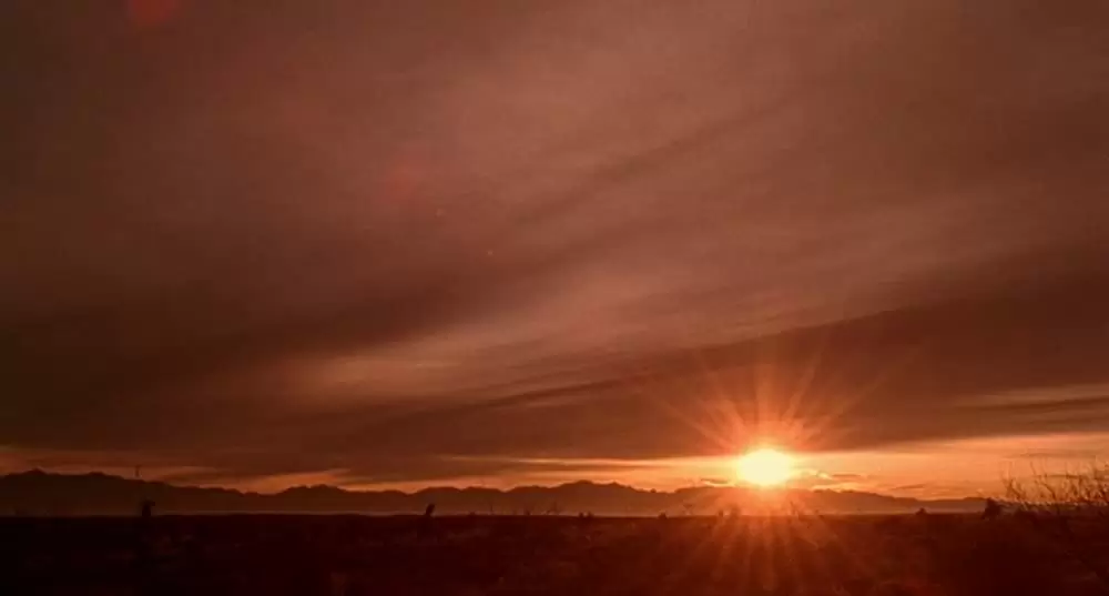 クイック&デッドの画像