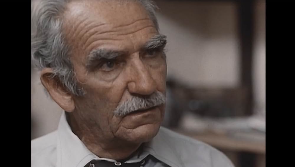 マッド・ギャング／裏切りの報酬の画像