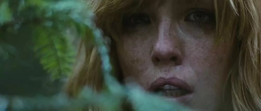 バイオレンス・レイクの画像