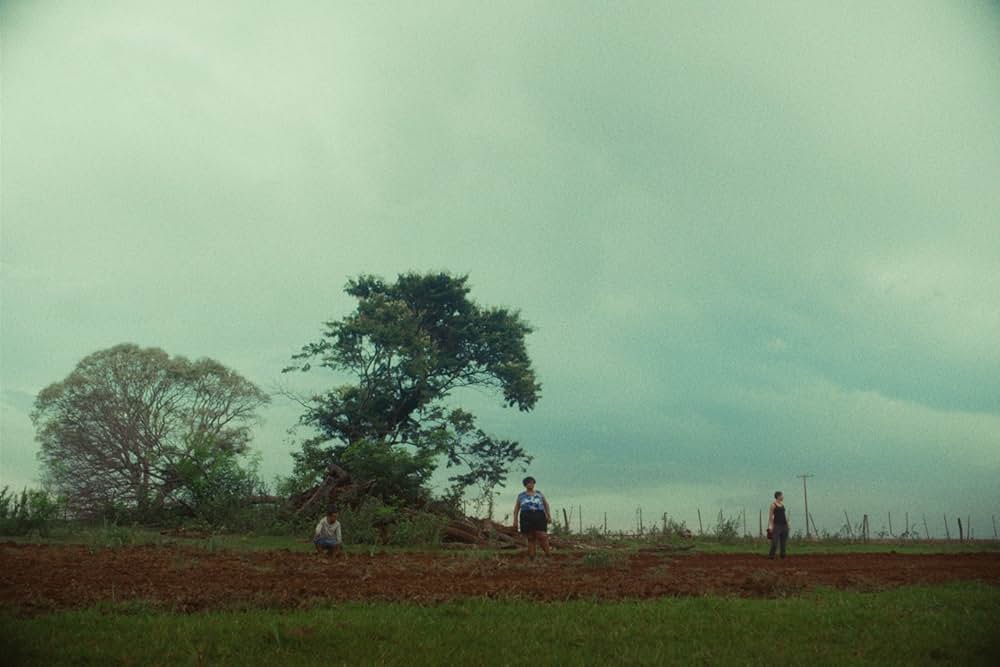 Cidade; Campo（原題）の画像