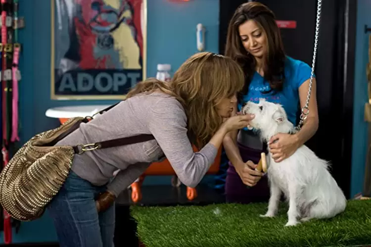 カレには言えない私のケイカクの画像