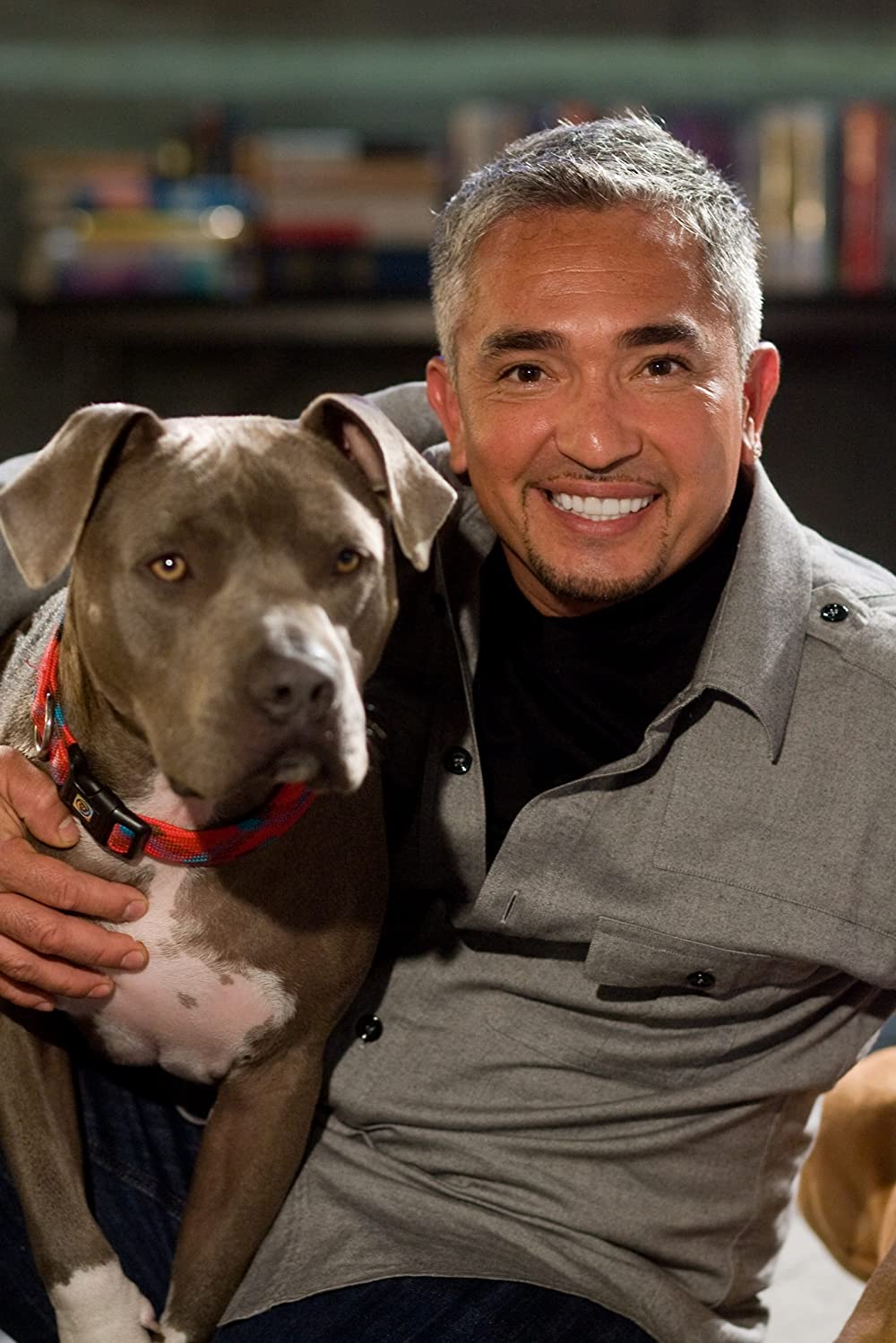 カレには言えない私のケイカクの画像