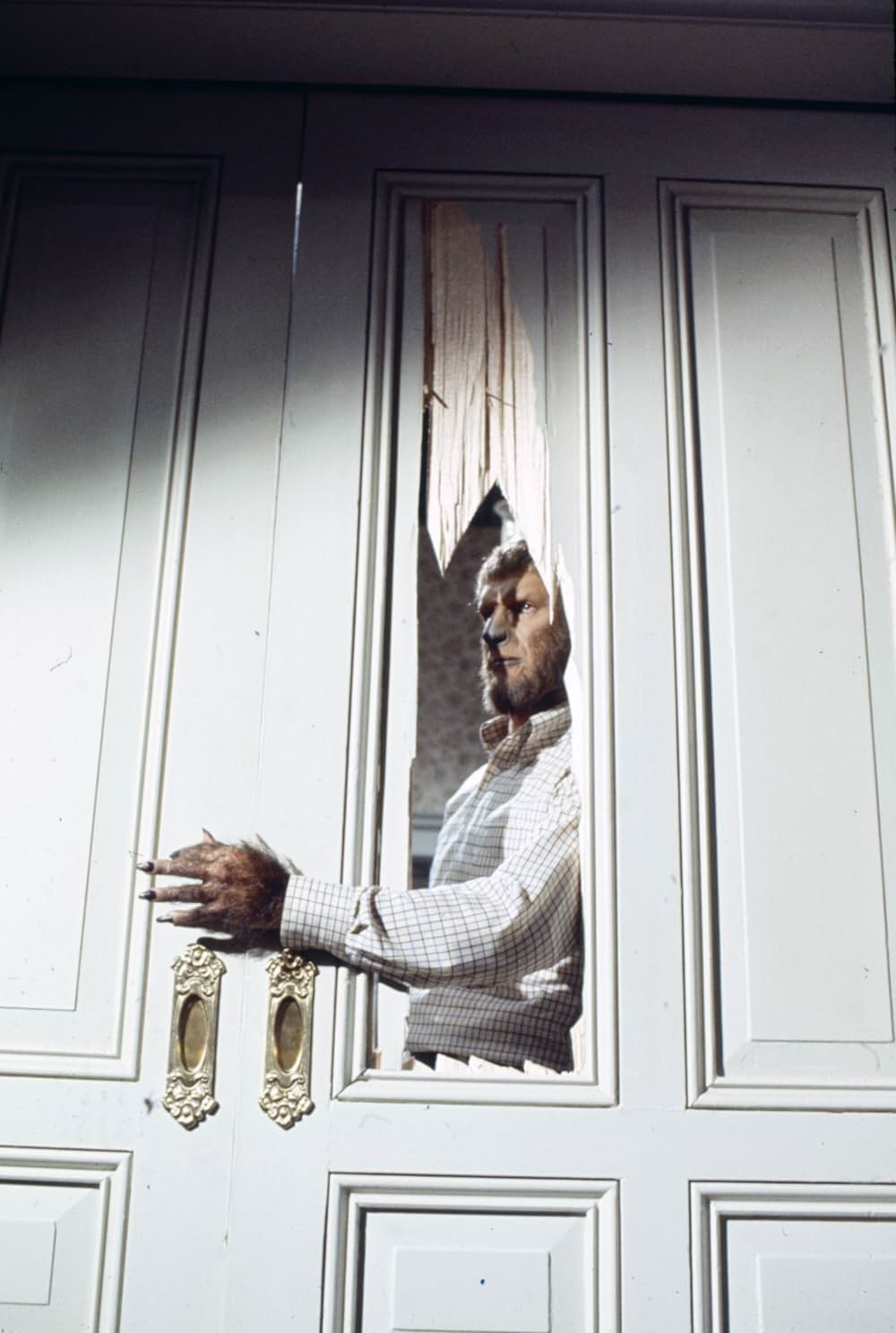 戦慄の狼男の画像