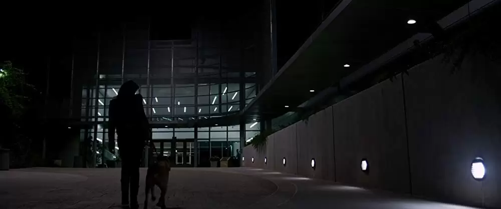 ラザロ・エフェクトの画像