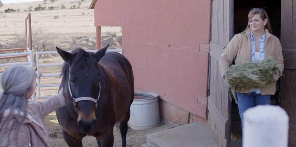 13 Fanboy（原題）の画像