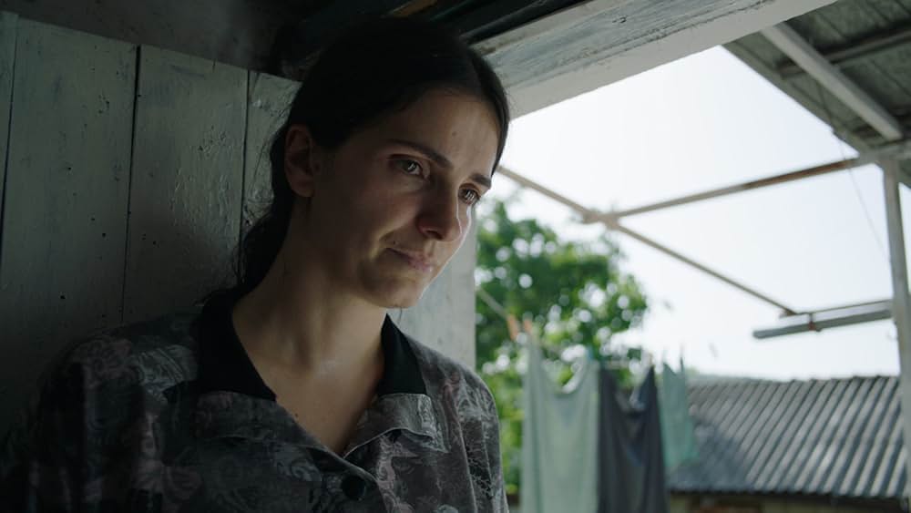 Hive（原題）の画像