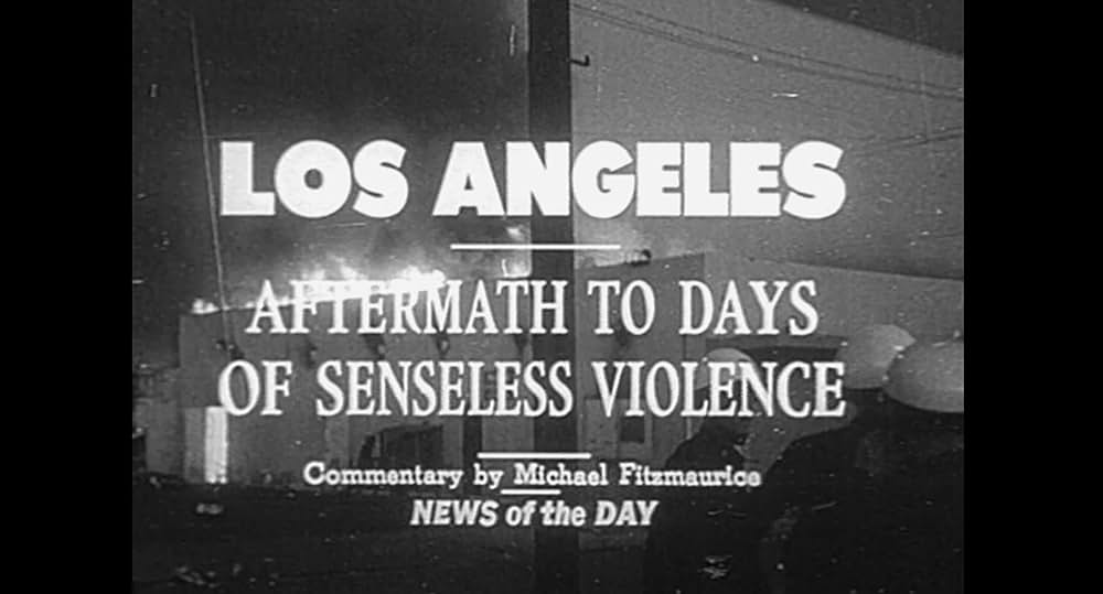 パワー: 警察権力の本質を問うの画像