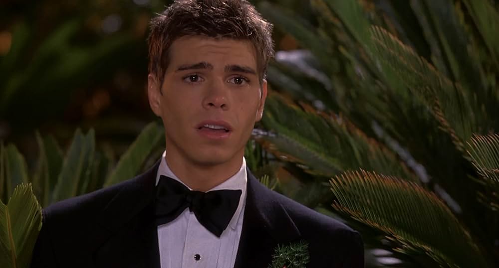 ホット・チックの画像