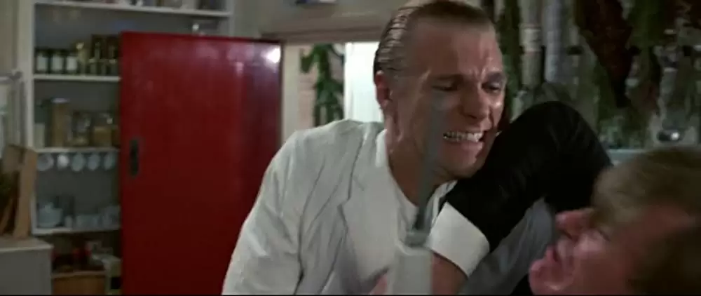 007／リビング・デイライツの画像