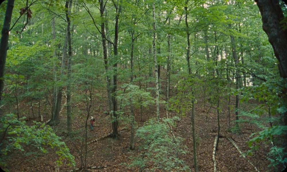 Vulcanizadora（原題）の画像