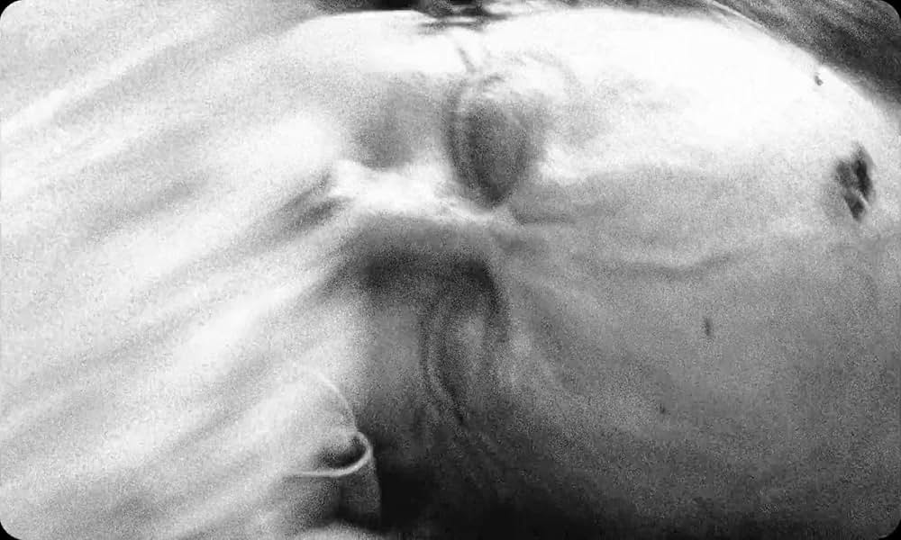 Vulcanizadora（原題）の画像