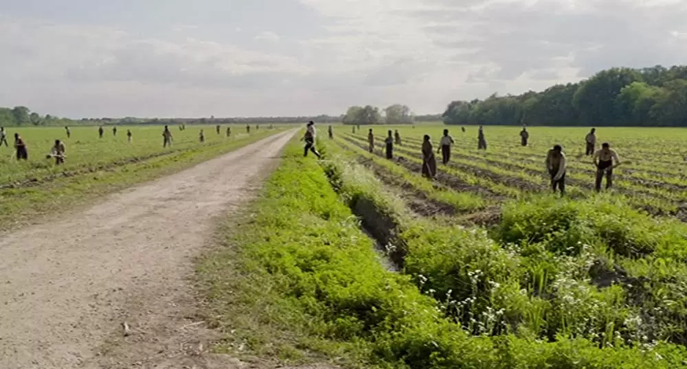 ニュートン・ナイト 自由の旗をかかげた男の画像