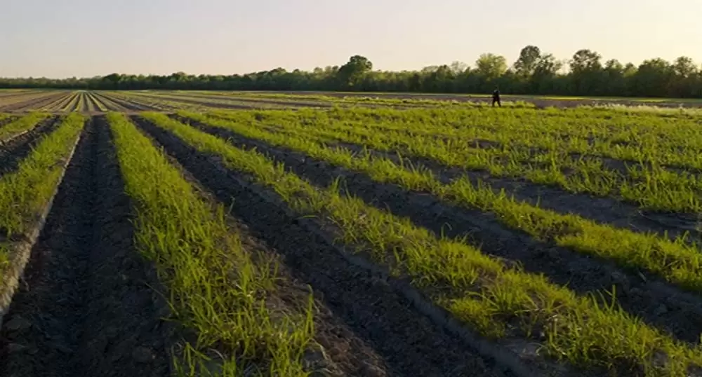 ニュートン・ナイト 自由の旗をかかげた男の画像