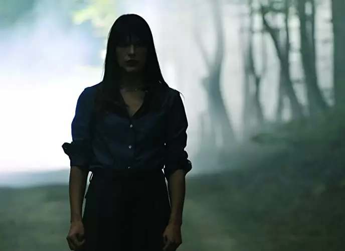 THE 4TH KIND フォース・カインドの画像