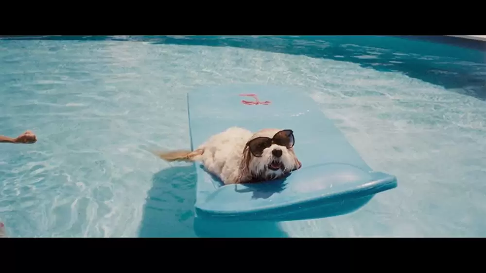 マネー・ショート 華麗なる大逆転の画像