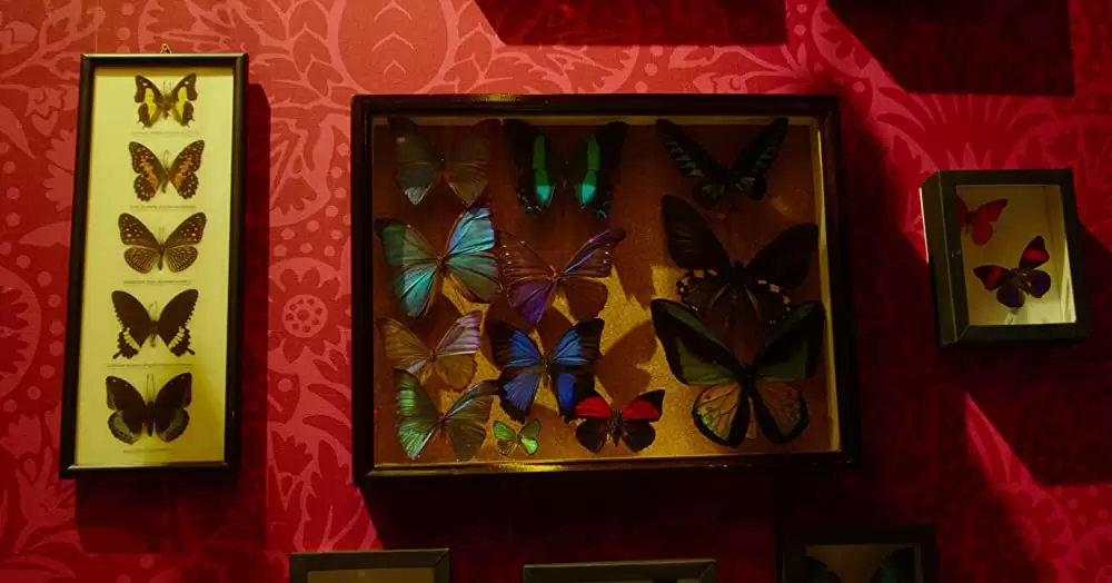 ヘルタースケルターの画像