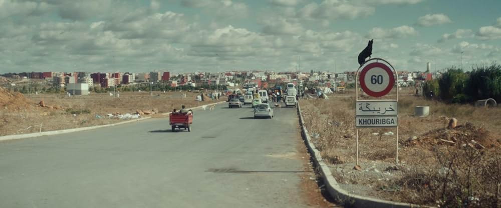 Animalia（原題）の画像