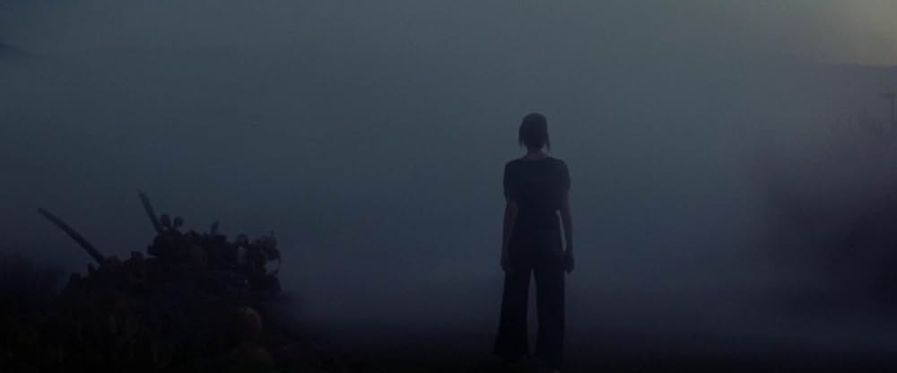 Animalia（原題）の画像