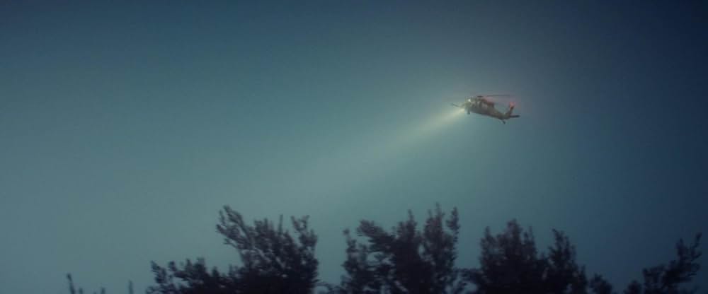 Animalia（原題）の画像