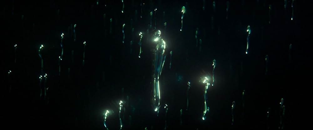 Animalia（原題）の画像