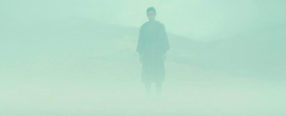 Animalia（原題）の画像