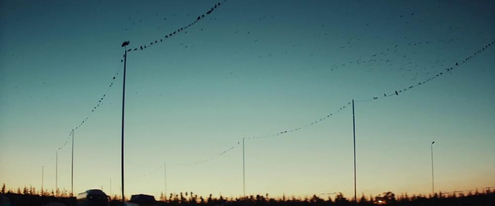 Animalia（原題）の画像