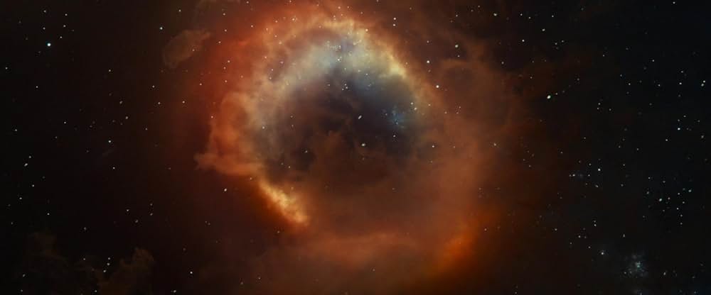 Animalia（原題）の画像