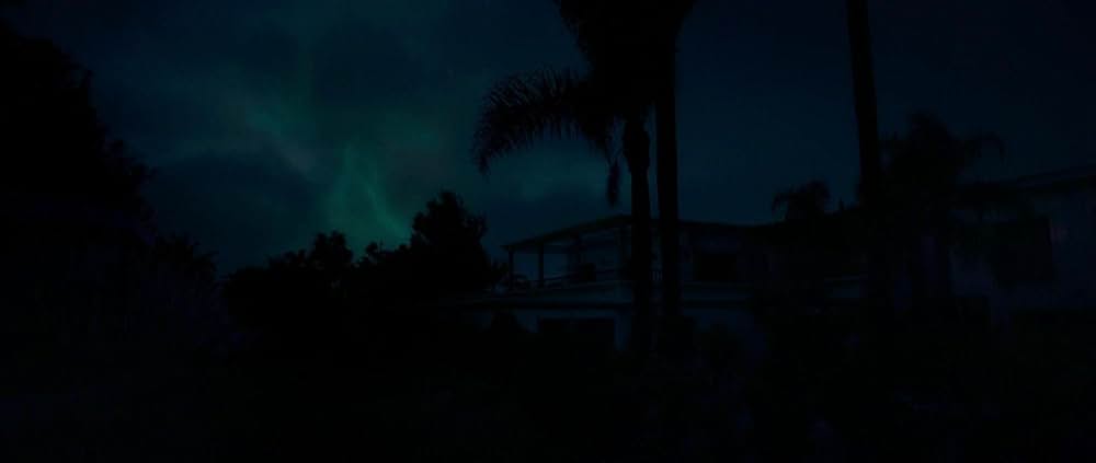 Animalia（原題）の画像