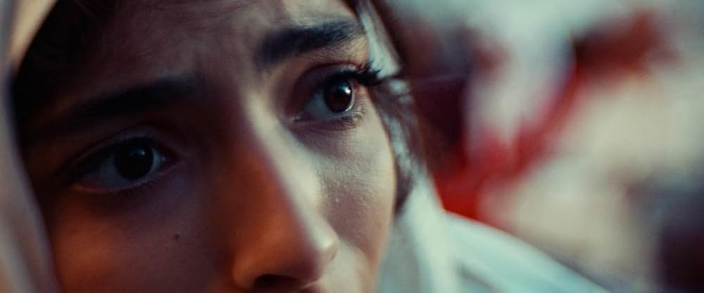 Animalia（原題）の画像