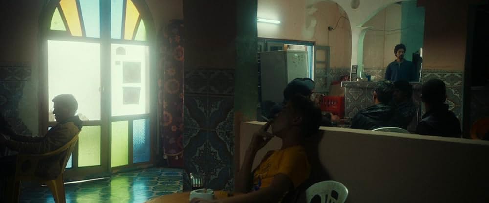 Animalia（原題）の画像