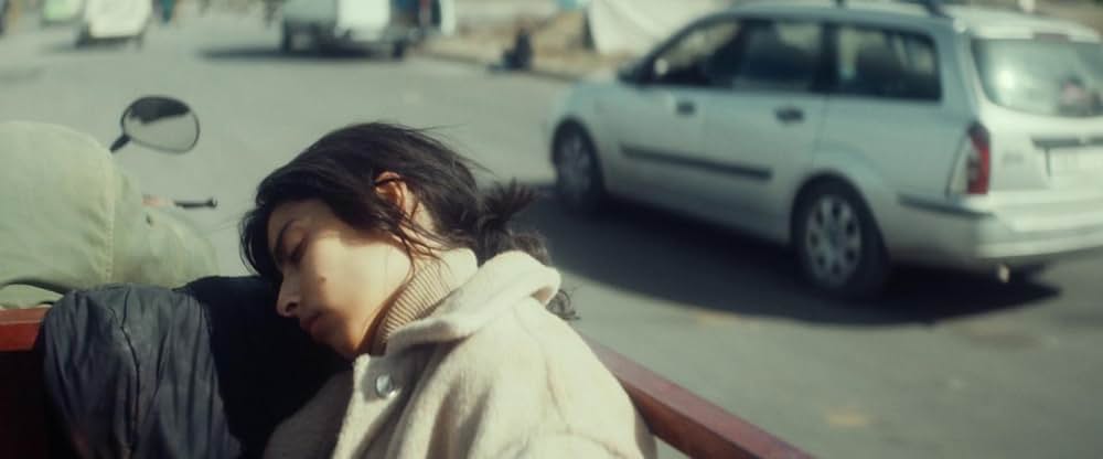 Animalia（原題）の画像