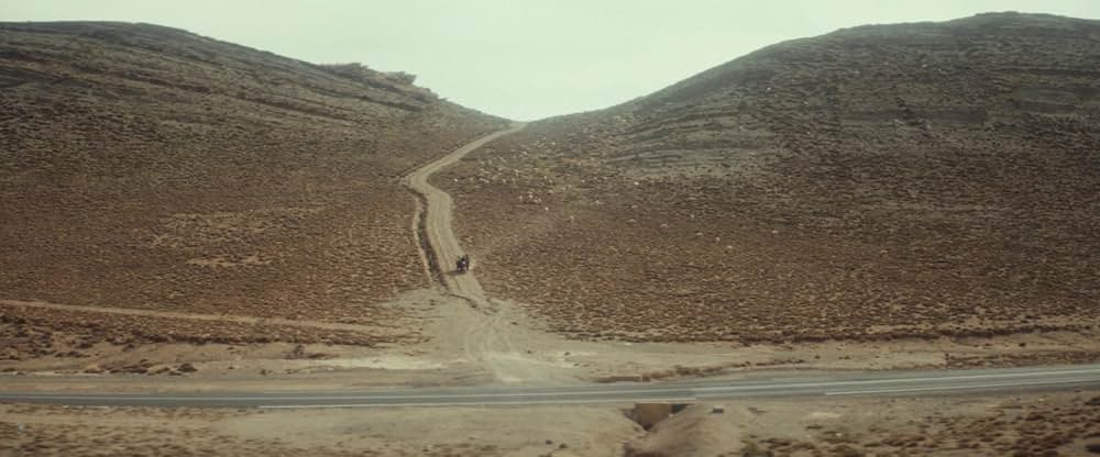 Animalia（原題）の画像