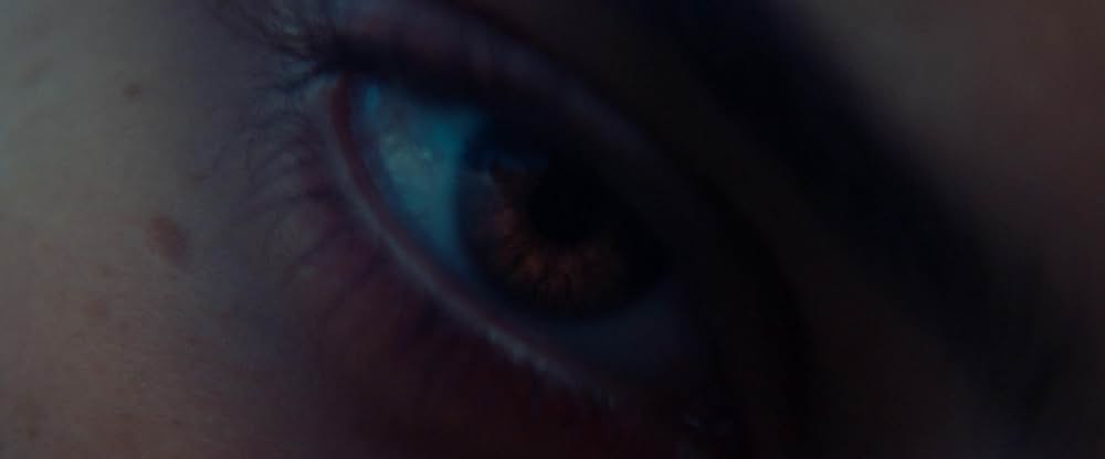 Animalia（原題）の画像