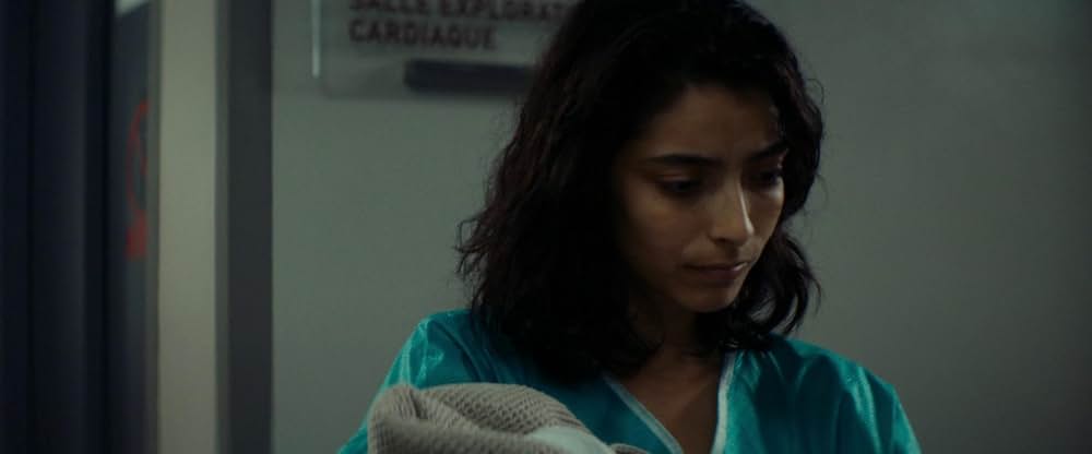 Animalia（原題）の画像