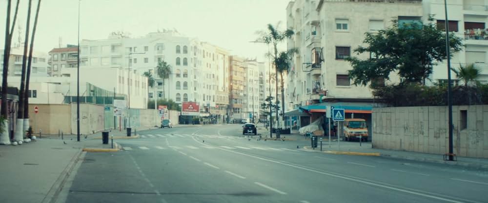 Animalia（原題）の画像