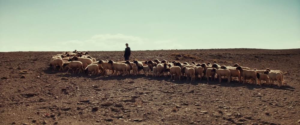 Animalia（原題）の画像