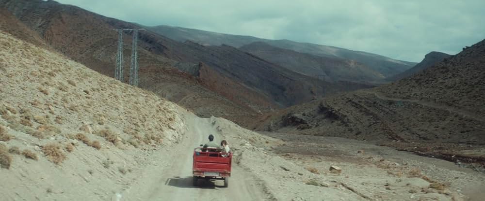 Animalia（原題）の画像