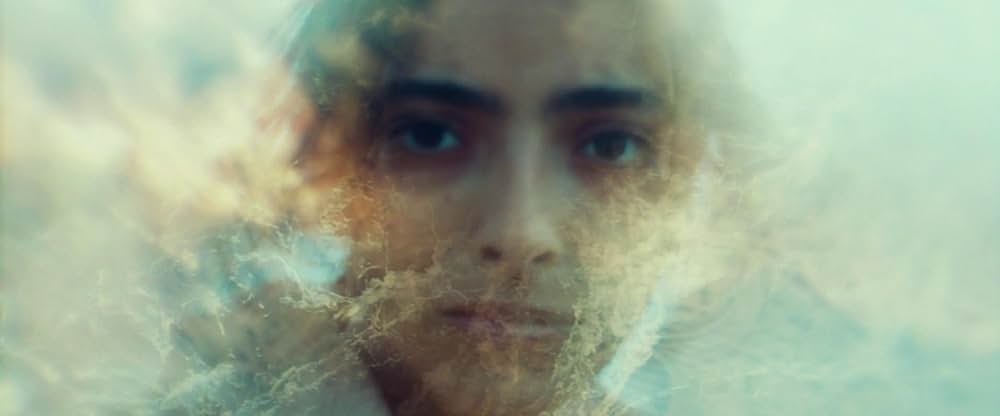 Animalia（原題）の画像