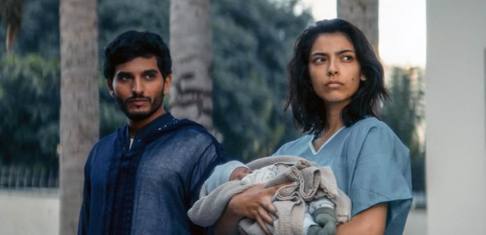 Animalia（原題）の画像